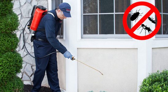 Sumbas Kemirgen İlaçlama böcek ilaçlama ve haşere kontrolü — ilaclama-tr.com